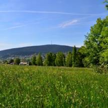 © Copyright Kur- und Tourist Information Bischofsgrün Blick in Richtung Ochsenkopf | © Copyright Kur- und Tourist Information Bischofsgrün